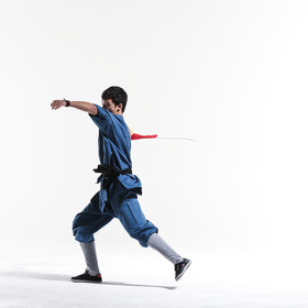 Wushu 9 — figure reference
